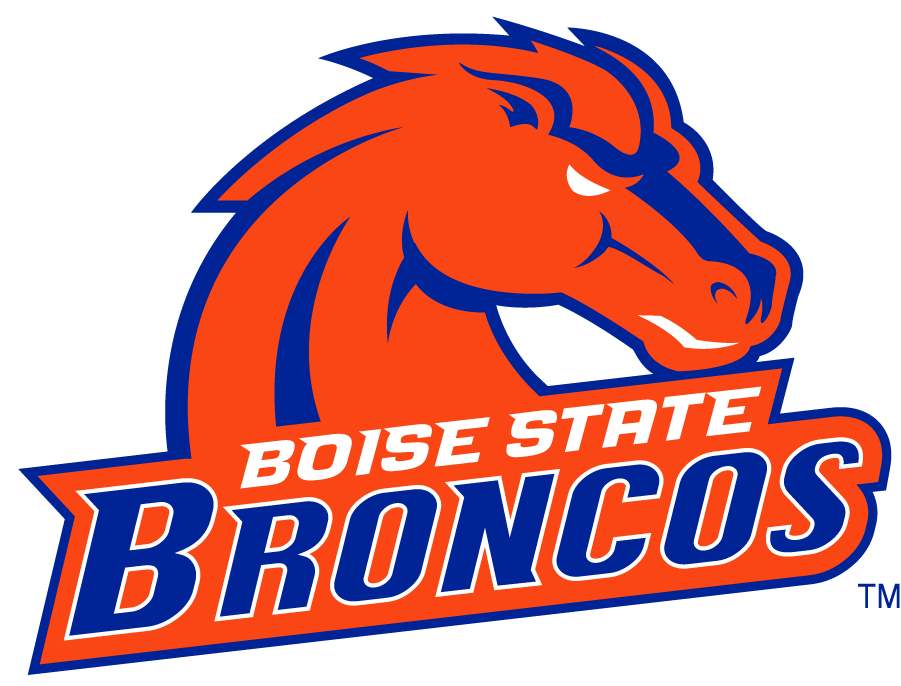 Boise State Broncos 2002-2012 Secondary Logo v27 DIY iron on transfer (heat transfer)